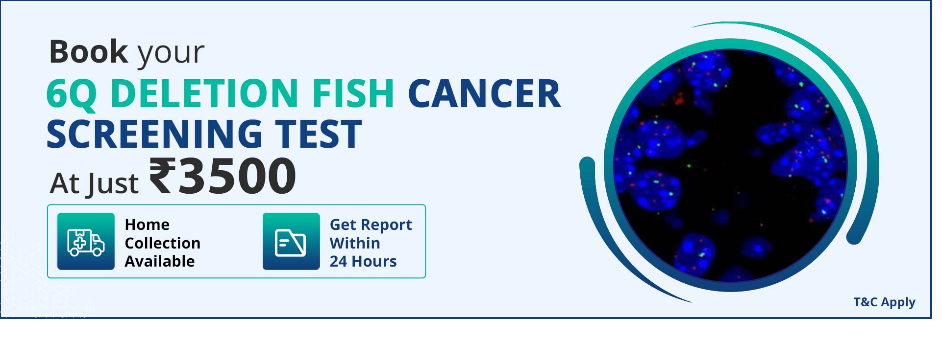 6q Deletion Fish Cancer Screening Test