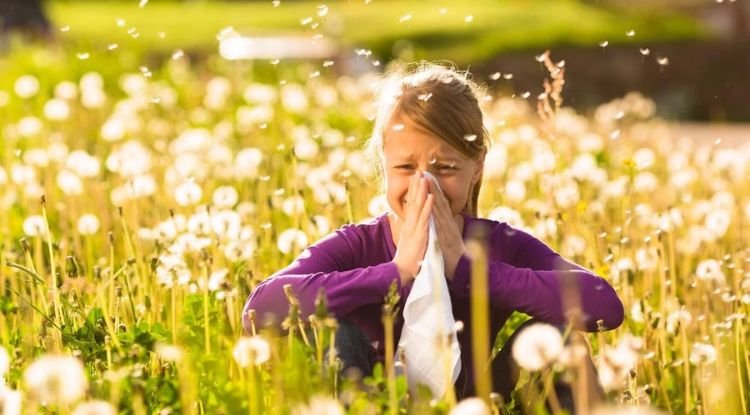 Hay Fever Symptoms CNC Health Info